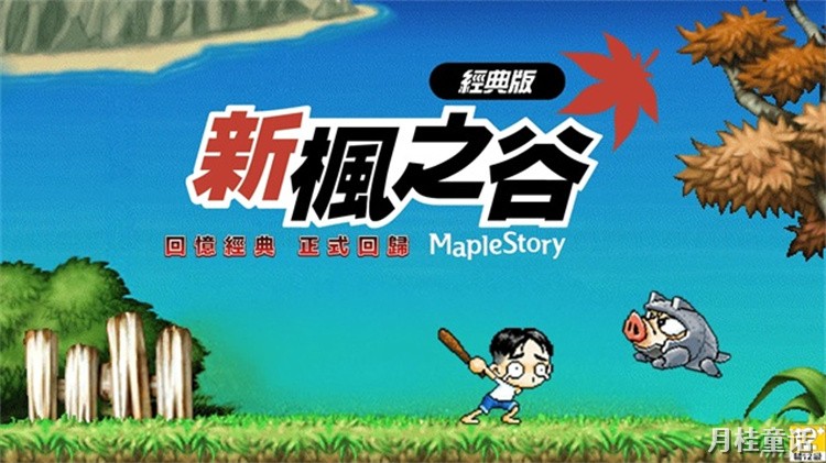 冒险岛私服新手职业选择指南：避开陷阱，快速成型